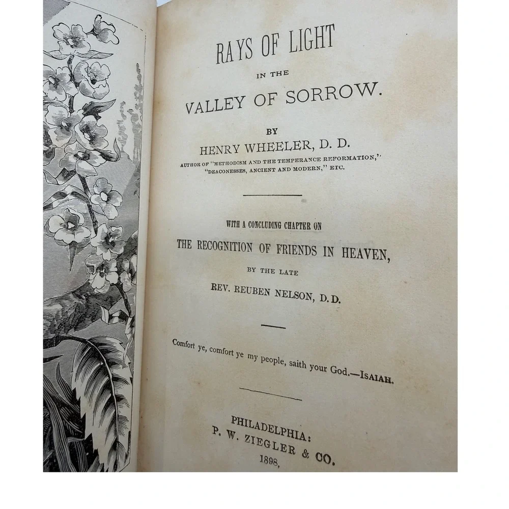 Rays of Light in the Valley of Sorrow‎ Henry Wheeler 1898 Religious Antique Book